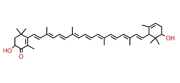 3,2'-Dihydroxy-beta,epsilon-caroten-4-one
